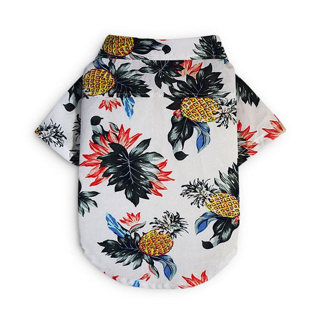 High Quality Buttoned Up Collar Shirts - White Pineapple