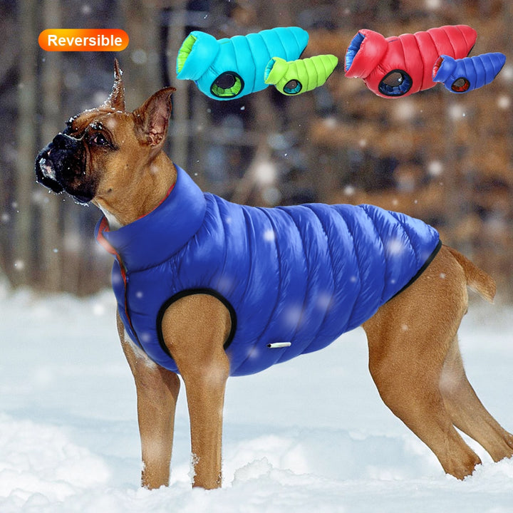 Three Layer Reversible Dog Coat