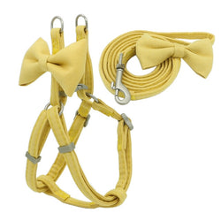 Adjustable Soft Collar Leash Set - Yellow